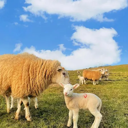 „deichgefluester“ Nahe Der Nordsee 아파트
