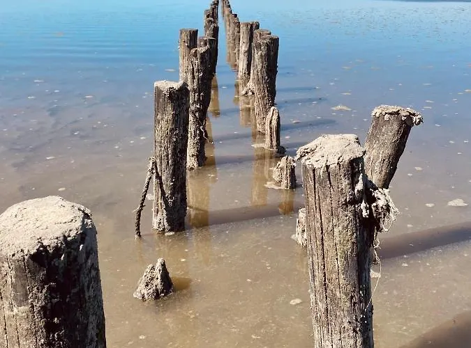 „deichgeflüster“ Nahe Der Nordsee Apartment *