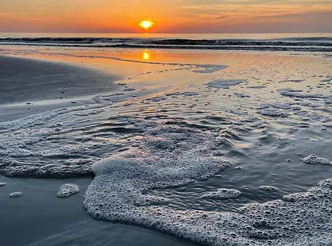 Apartment „deichgeflüster“ Nahe Der Nordsee
